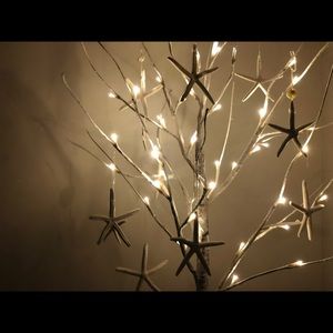 Meet your Posher, Moyu